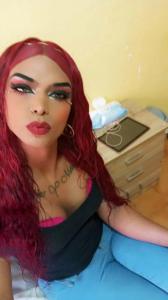 Transexual en Navarra: 