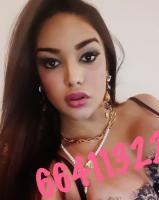 664113220: Travesti en Almería