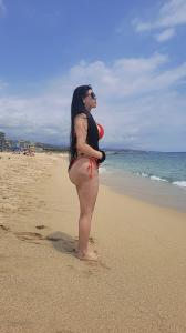 Transexual en Gerona: 