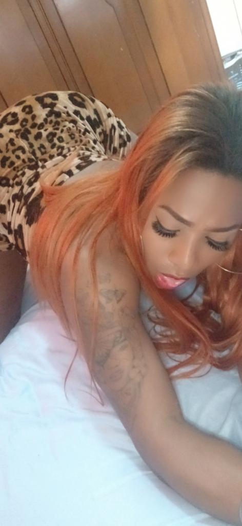 Transexual en Asturias: Transexuales y Travestis