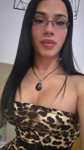 Travesti en Alicante: Transexuales y Travestis