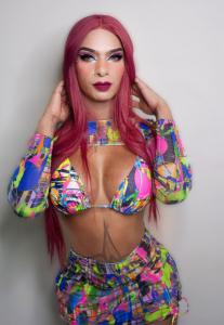 Transexual en Navarra: 