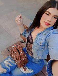Transexual en Navarra: 