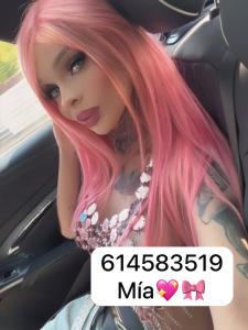 Travesti en Alicante: Transexuales y Travestis