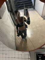 662139851: Travesti en Barcelona