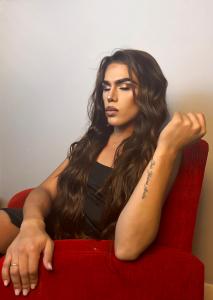 Travesti en Vizcaya: Transexuales y Travestis