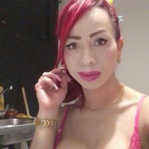 Travesti en Pontevedra: Transexuales y Travestis