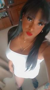 Travesti en Navarra: 