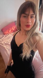 Travesti en Gerona: 