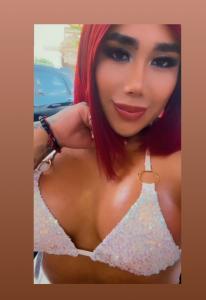 Travesti en Valencia: Transexuales y Travestis