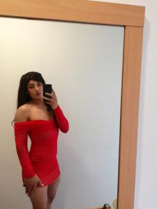 Transexual en Madrid: Transexuales y Travestis