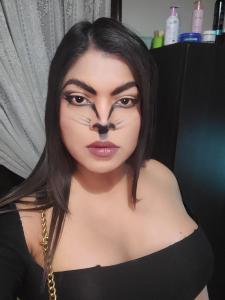 Travesti en Ávila: 