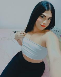 Transexual en Navarra: 