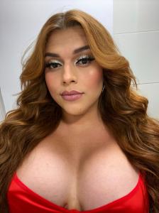 Transexual en Navarra: 