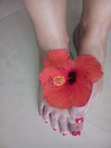 Chica busca chico en Zamora: 