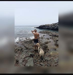 Chico busca chica en Tenerife: 