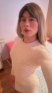 Travesti en Gerona: 