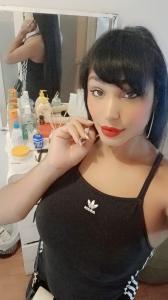 Transexual en Asturias: Transexuales y Travestis