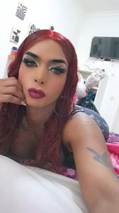 Transexual en Navarra: 