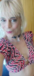 Travesti en Alicante: 
