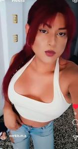 663713124: Travesti en Alicante