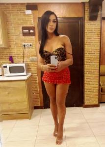 Transexual en Cuenca: Transexuales y Travestis