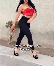 698276707: Virtual en Mallorca